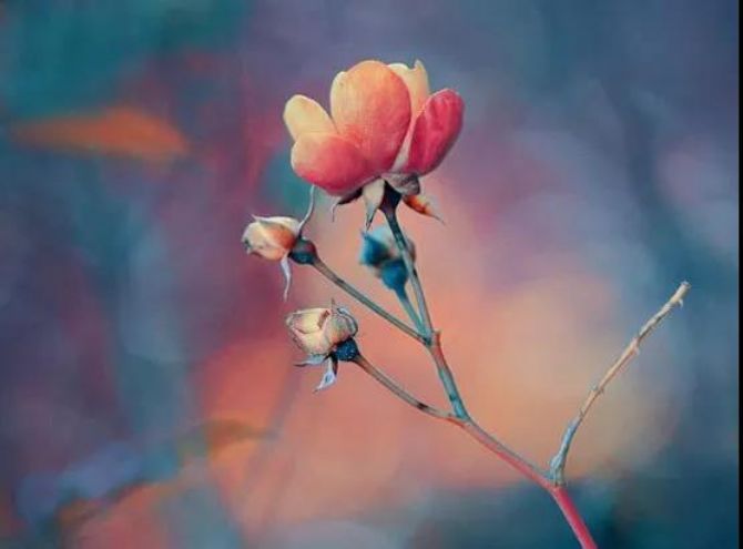 忏悔,竟有如此大的力量!就像太阳光融化冰山~ 忏悔,竟有如此大的力量!就像太阳光融化冰山~