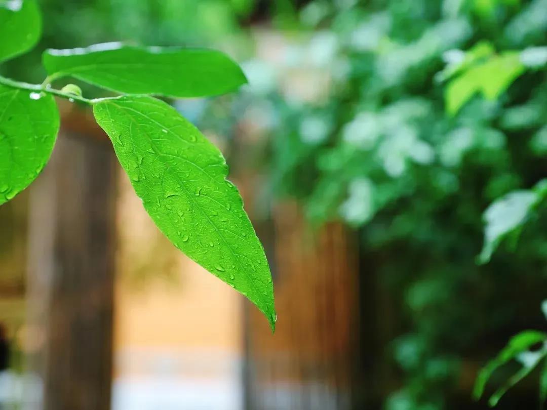 ������ҽ���Ĳ����Σ����ž���ġ���ҩ�����޲�����