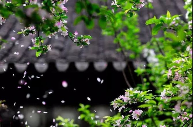 �Դȱ������������ֵ�ԴȪ�����ǻ۴�����������