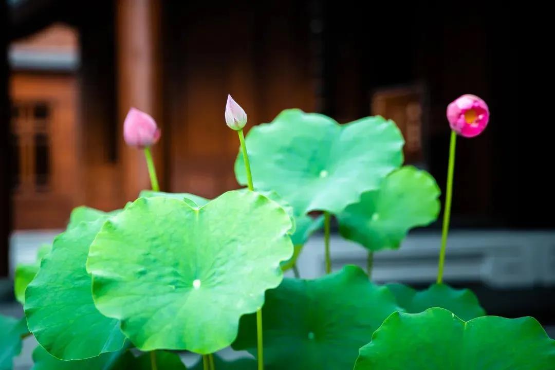 ѧ���벻ѧ�𶼻�ʹ�࣬�Ǹ��ﻹҪѧ��