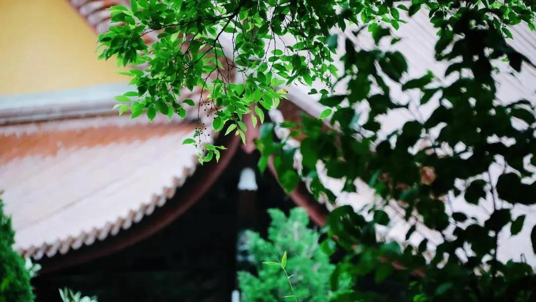 ѧ���벻ѧ�𶼻�ʹ�࣬�Ǹ��ﻹҪѧ��