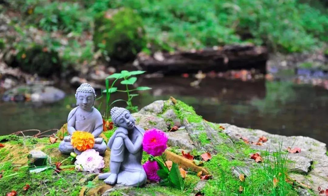 �������벻�ţ������������