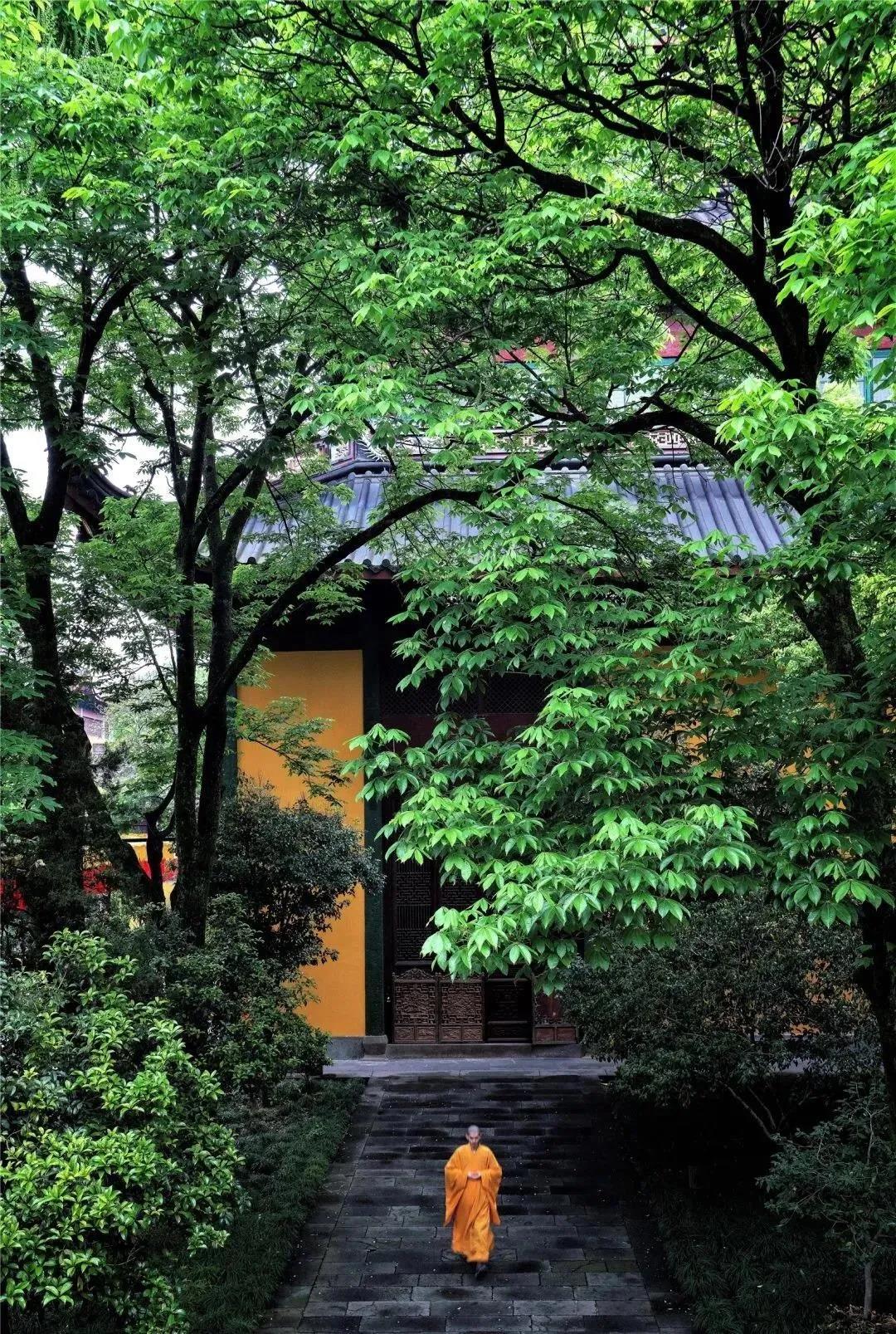 ��ѧ��������Ҫ�д��ɷ������