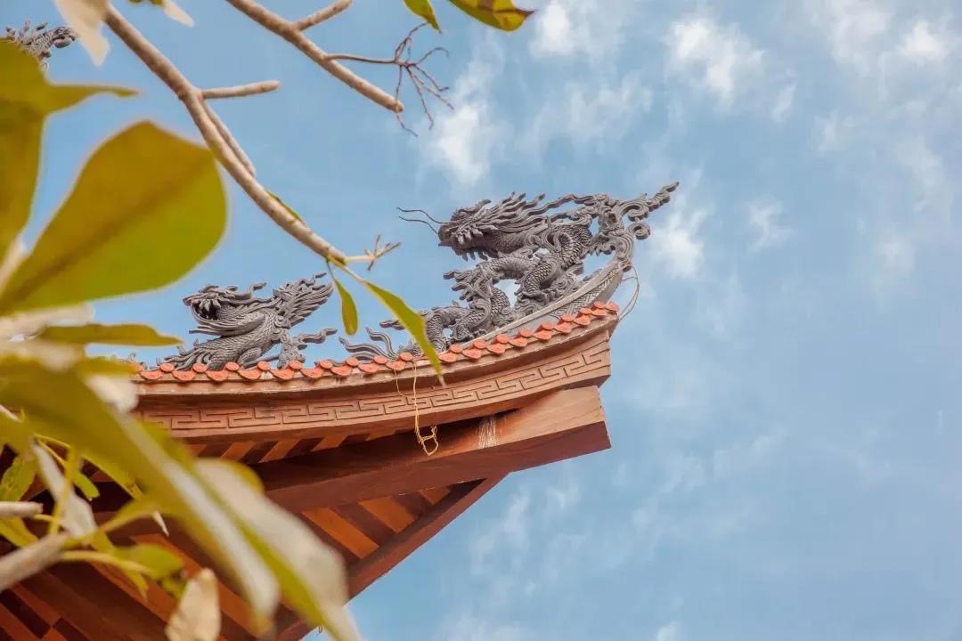 ��ѧ��������Ҫ�д��ɷ������