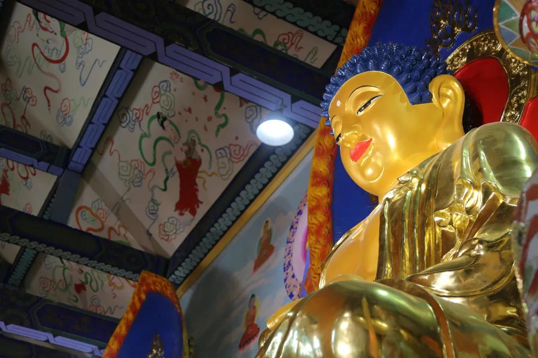 �����޵��˵ĸ�����Ҫ����������