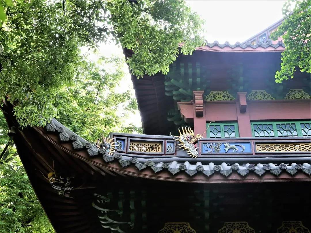 ˵�������������ŷ����ţ�