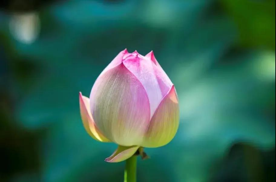 ʲô����֪ʶ��