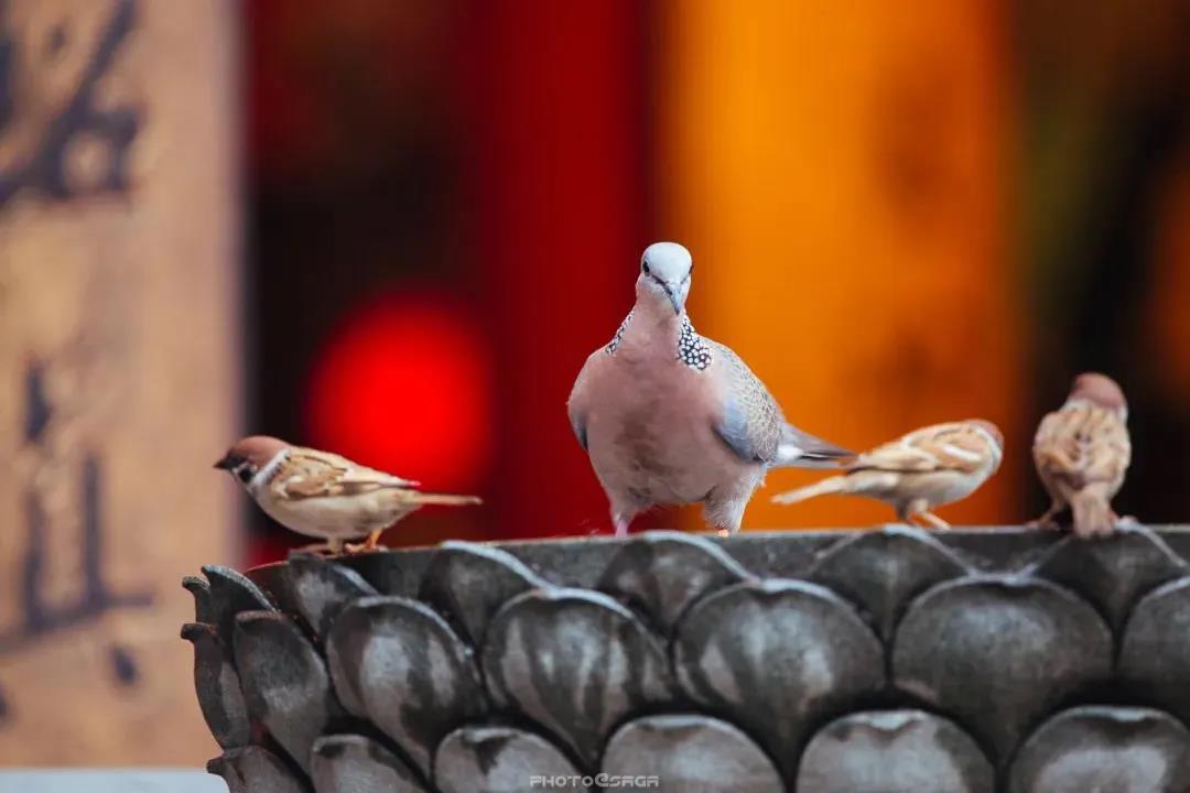 �����⴩��������������������������֪��ô��