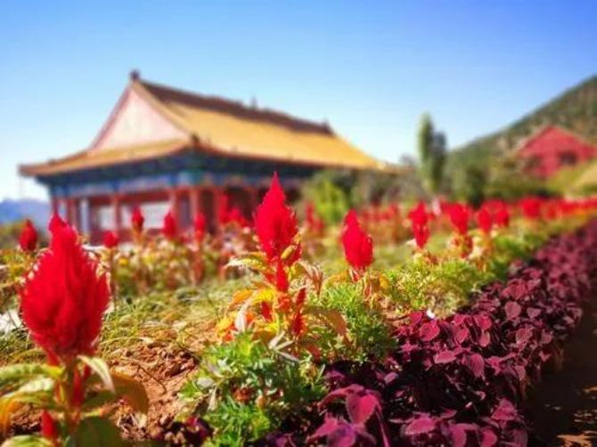 �����Լ������ģ����п��ܰ���������