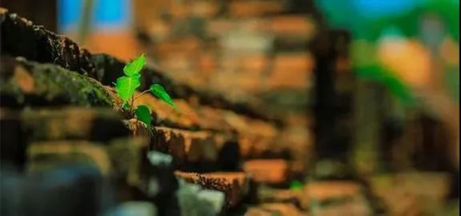 ������̱��������δ�������ߵ��ɻ���