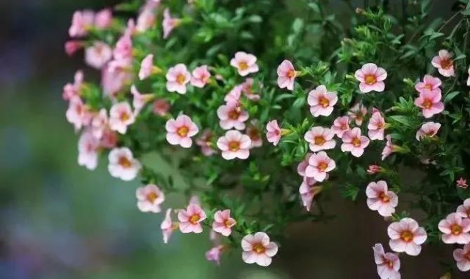 ��ѧ�������ŵ�������ᣬ��������Ե����