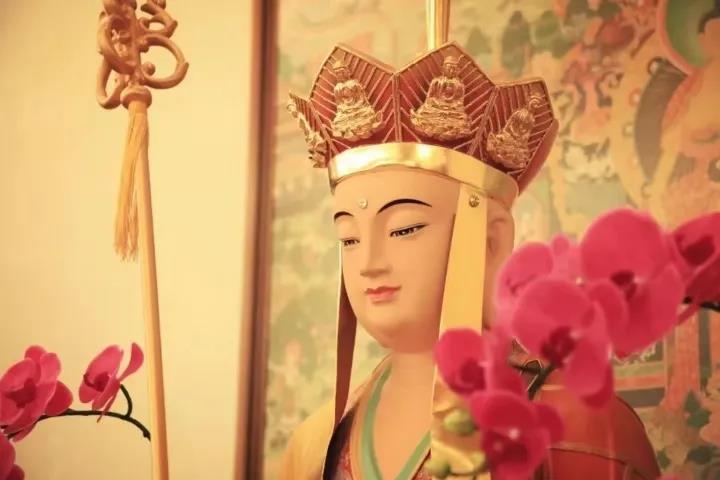 Ӧ�۷����ԣ�һ��Ψ����