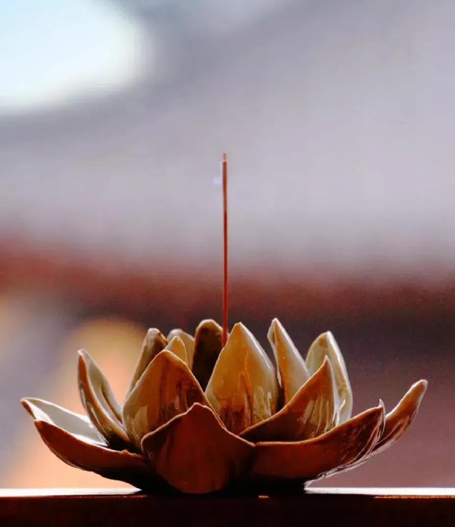 Ӧ�۷����ԣ�һ��Ψ����