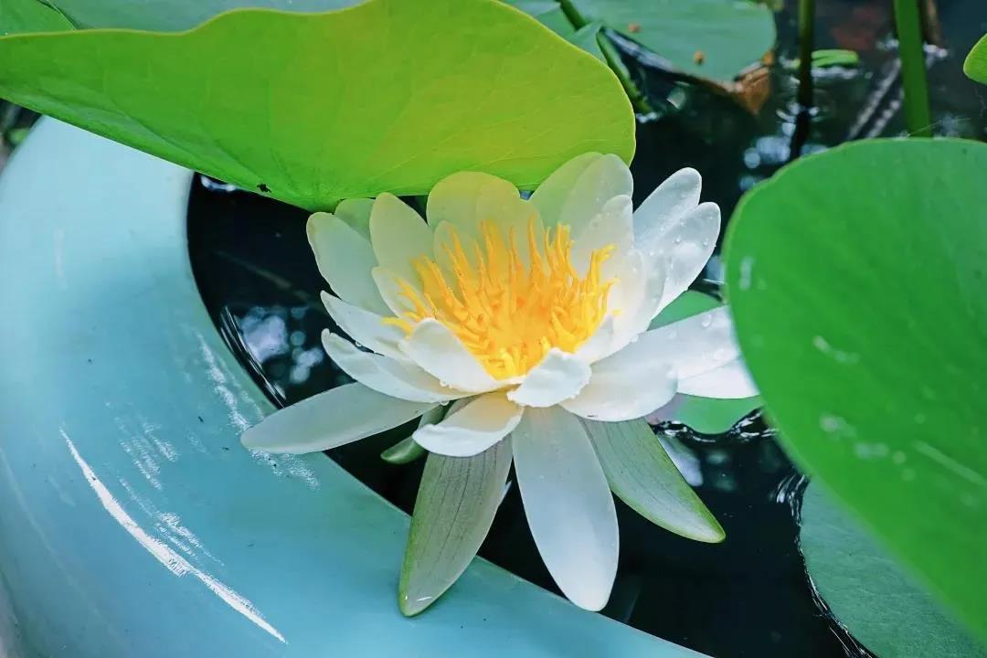 ���ǵ������Ҫ�������ֽ���