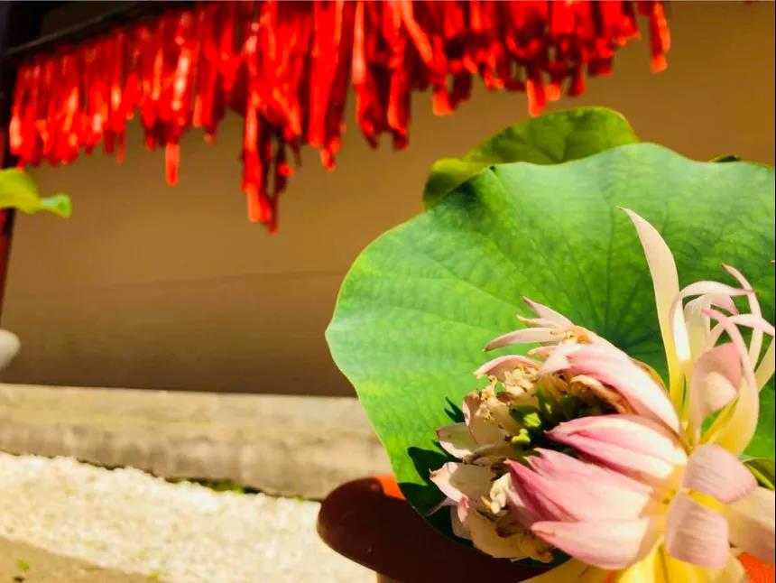 ����ù�ġ������ң���������µ�����ô����