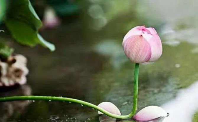 �����Ϻ��У���𲻼򵥣���Щ�����Ͼ�Ҫ��