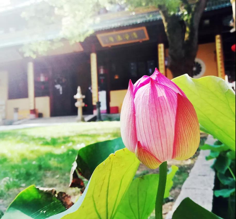 ǧ�����Ϊ�ľ���Ҫ�ﵽ���յ�����