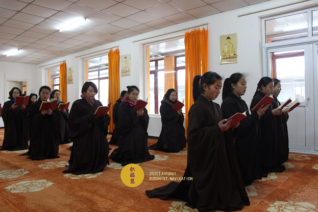 ���������������꣨2020���������ߡ����������۶��ľ�����������