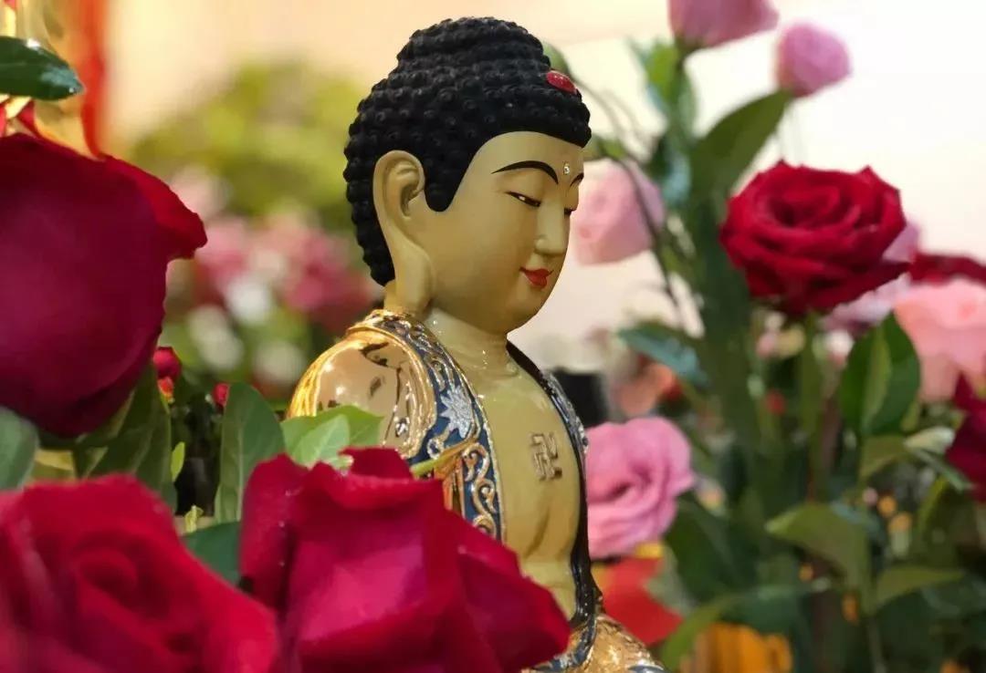 �����ӷ��ܼӳ������߲�̰�������