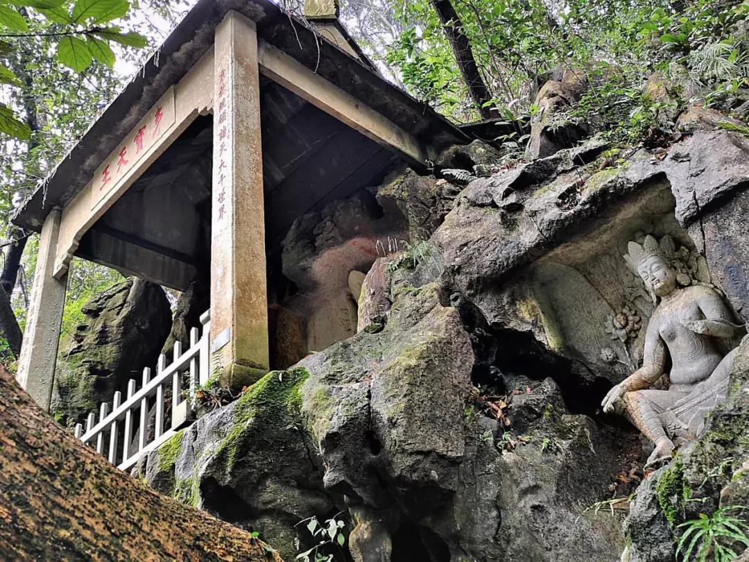 �ŷ��ѧ�𣬾�����ʲô����