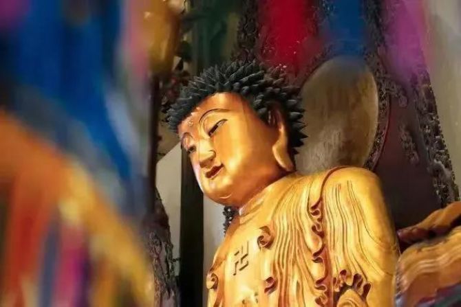 ʲô�������