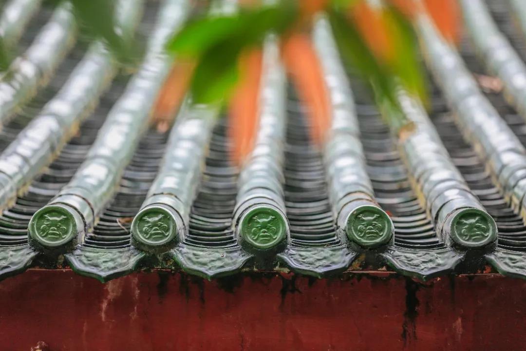 ʲô�������