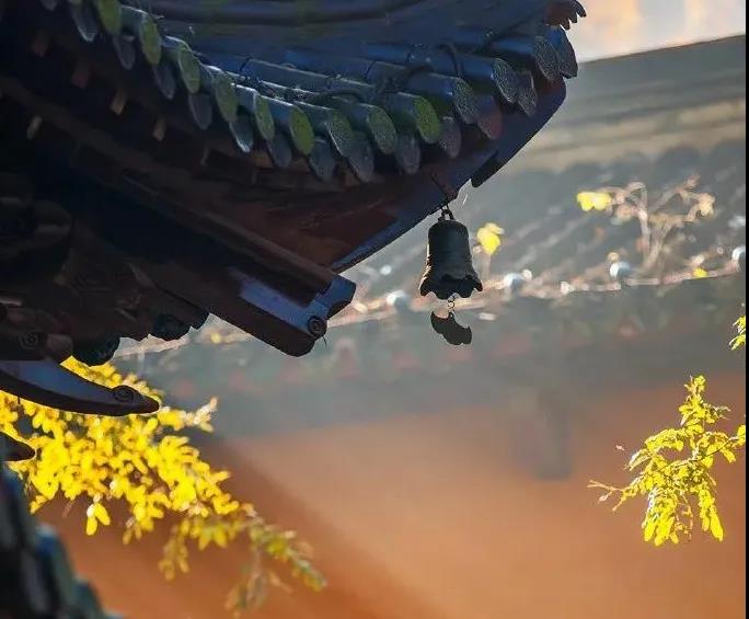 ����Ϊʲô�Ầ��������