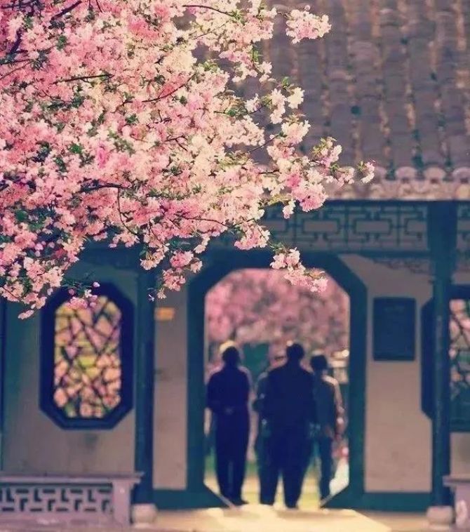 ����Ϊʲô�Ầ��������