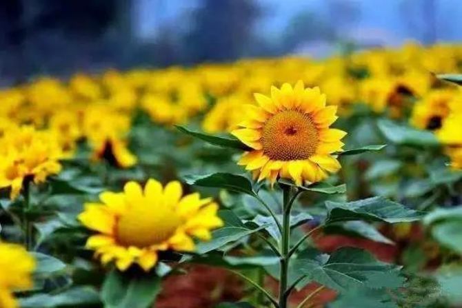 ���֮��ΪʲôҪ�����أ�