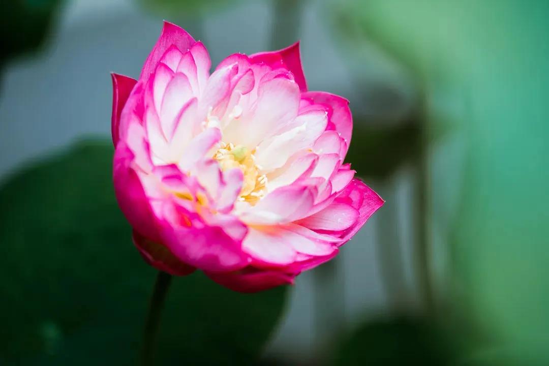 ������Ե�����ˣ���������ϰ�����գ�