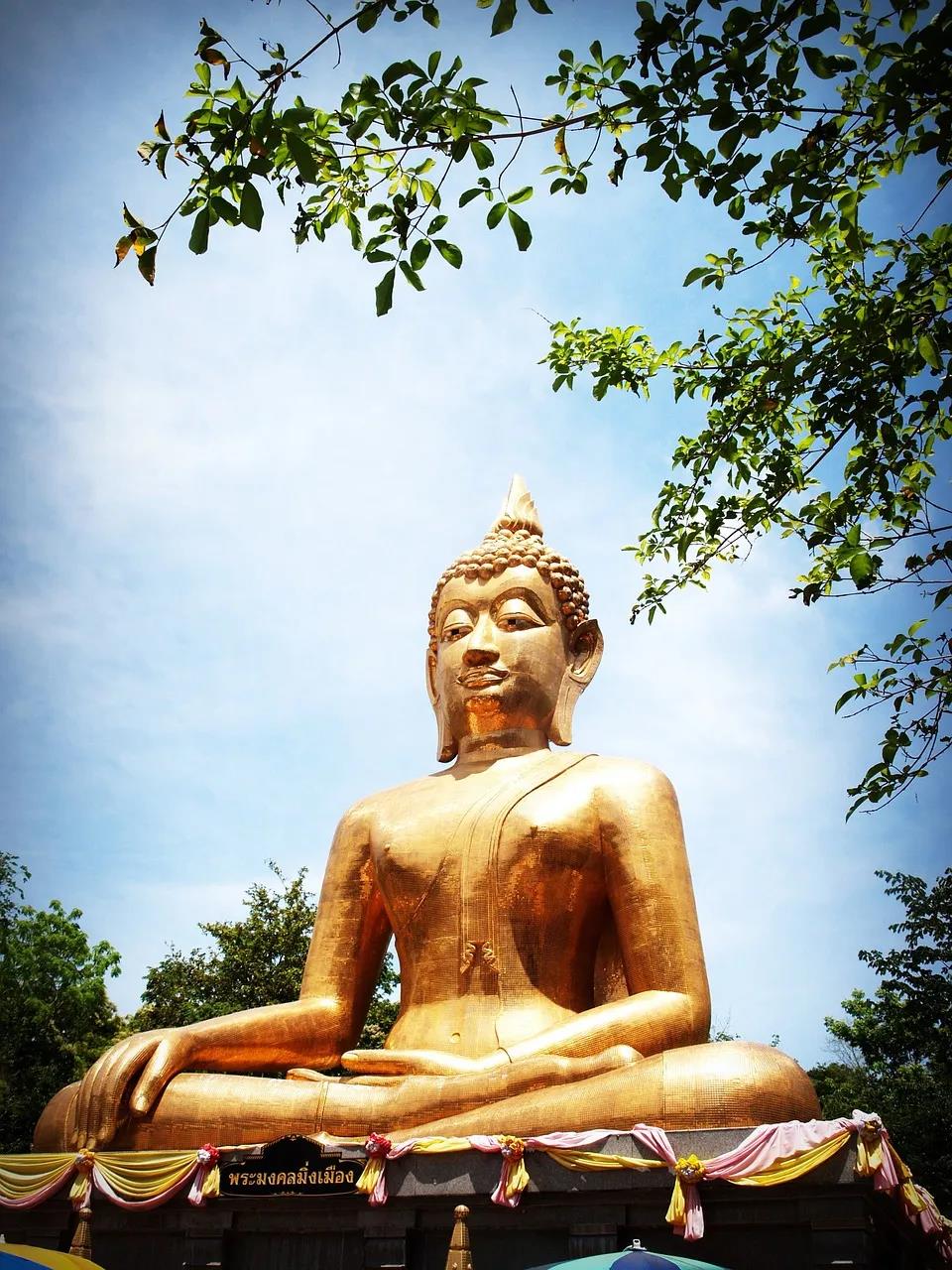 ���Ӹ����˵Ķ�ʮ���Ҹ棬��������ȥ���䣿