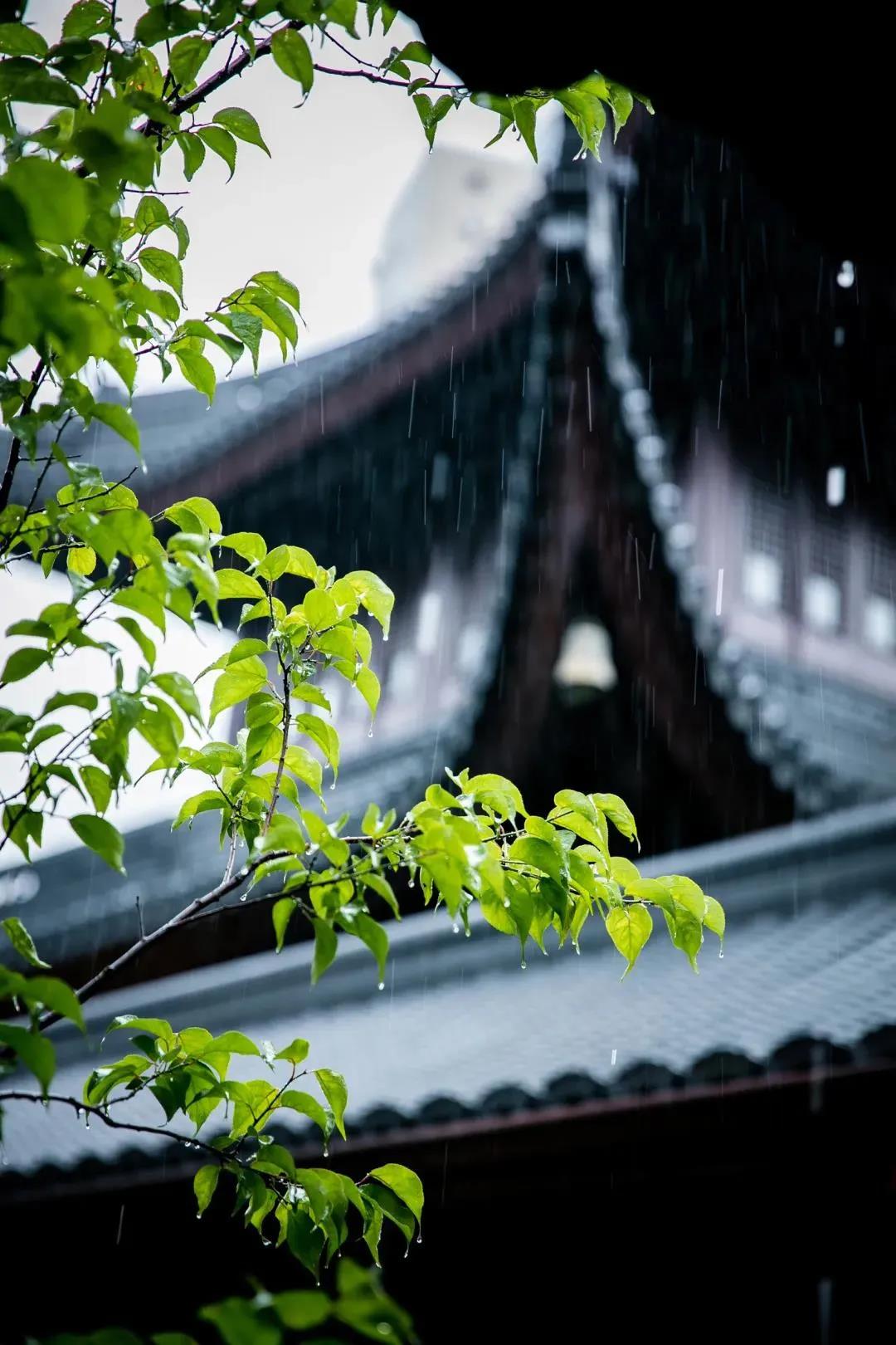 ���Ӹ����˵Ķ�ʮ���Ҹ棬��������ȥ���䣿