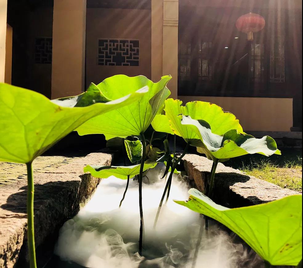 ���Ӹ����˵Ķ�ʮ���Ҹ棬��������ȥ���䣿