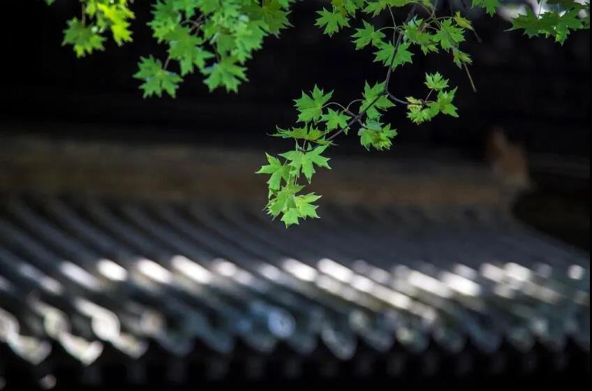 ���Ӹ����˵Ķ�ʮ���Ҹ棬��������ȥ���䣿