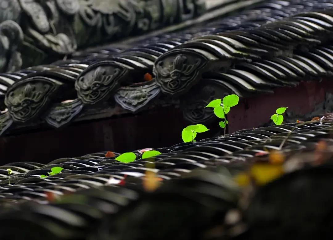 ���Ӹ����˵Ķ�ʮ���Ҹ棬��������ȥ���䣿