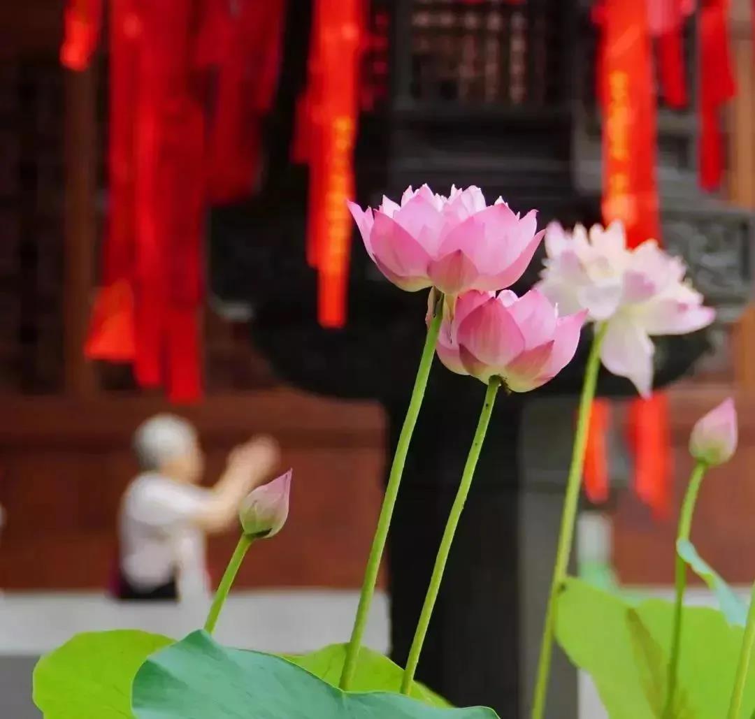 ��˵����ʮ������飬����������