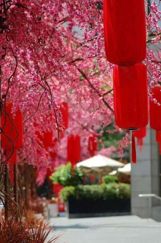 ��˵���Կ��Ǹ������ɡ������������