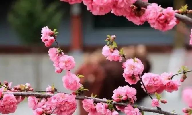 ��˵���Կ��Ǹ������ɡ������������