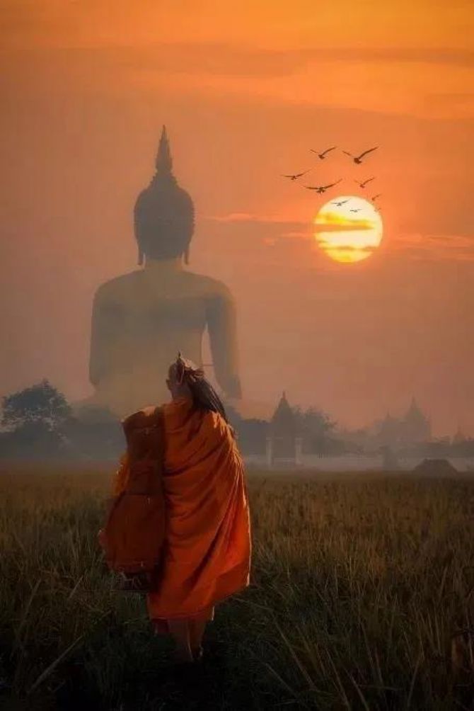 �����ģ��ǵ��εεĹ���