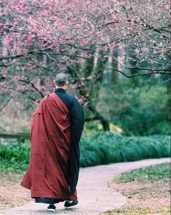 �����ģ��ǵ��εεĹ���