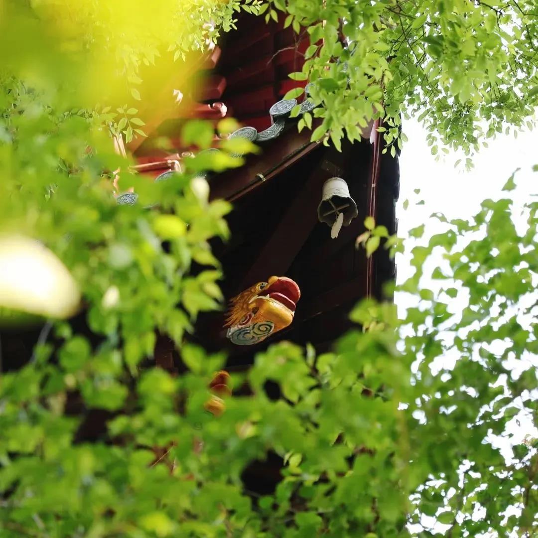 ��μ�Ԧ�Լ������ˣ���������������Ĵ𰸣�