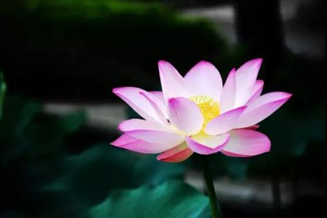 八十岁老者亲身经历:念佛什么时候开始都不晚 八十岁老者亲身经历:念佛什么时候开始都不晚