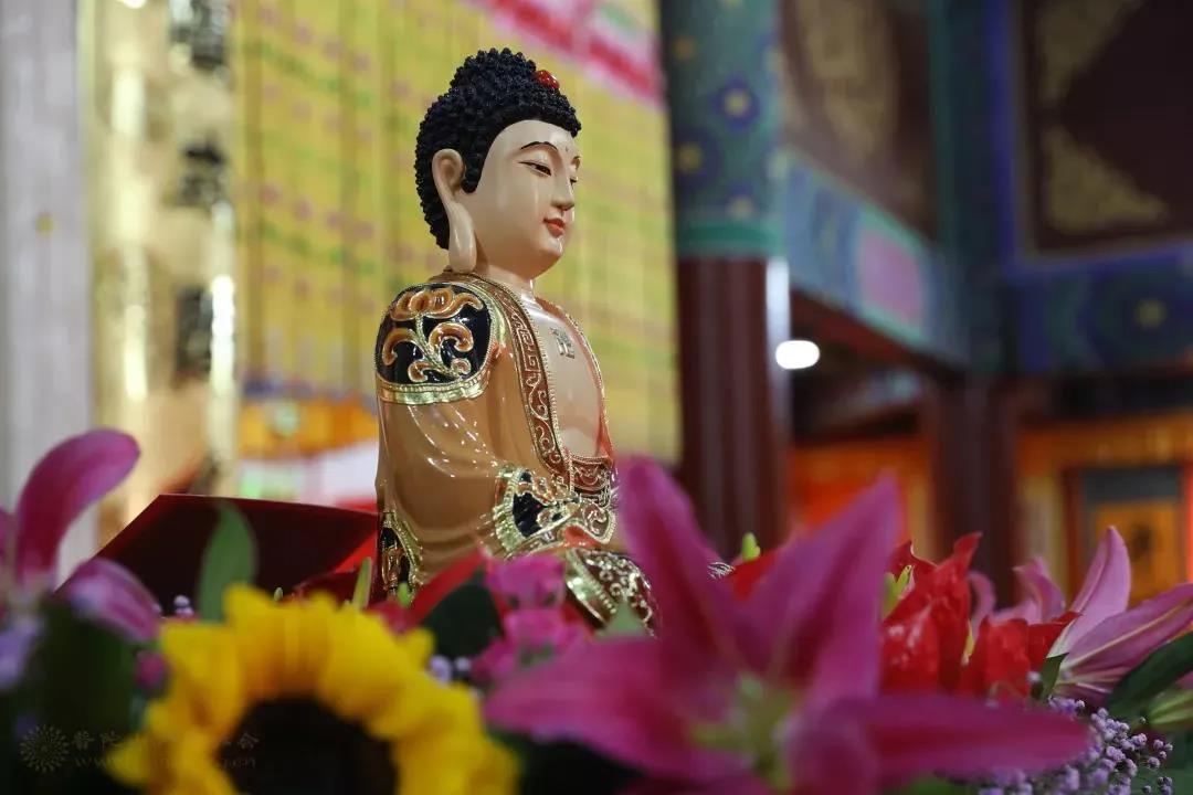 ӡ�ⷨʦ���������߳Ͼ����������������̷��������ҵ��������