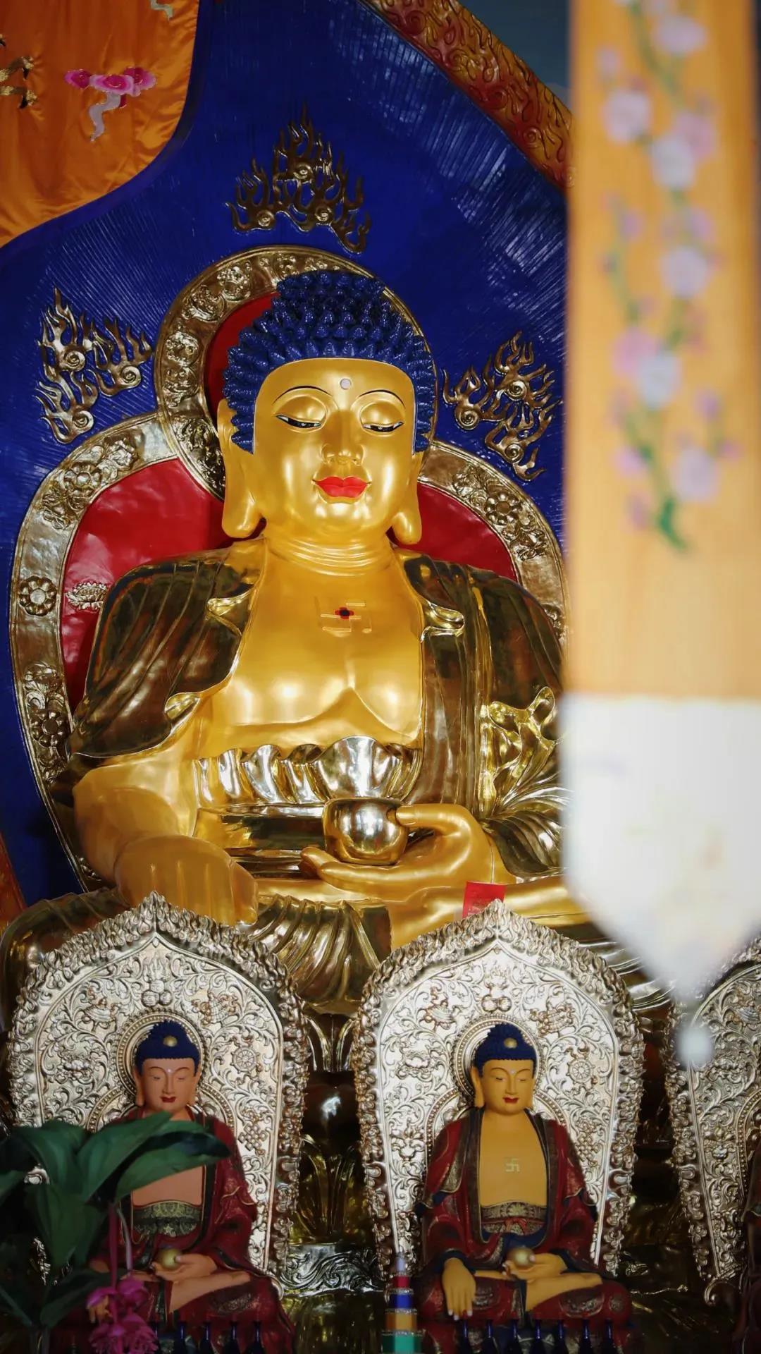 ����ڵ����壬�������˷������еı��أ�