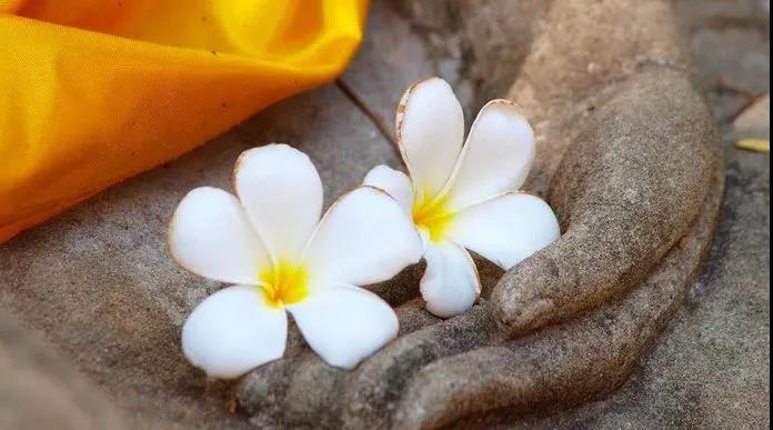 ��������������ζ��Σ�