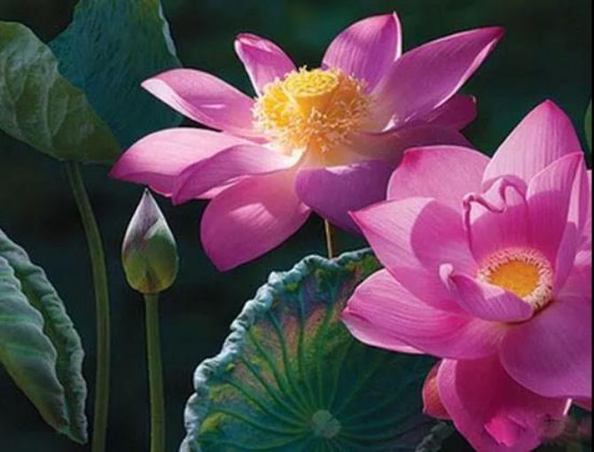 ���Ĵ��ˣ��Լ����𣻷������ˣ��˼��Ƿ�_!