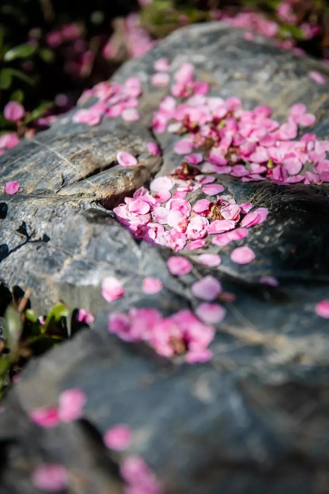 �����ǧ�򲻿�����