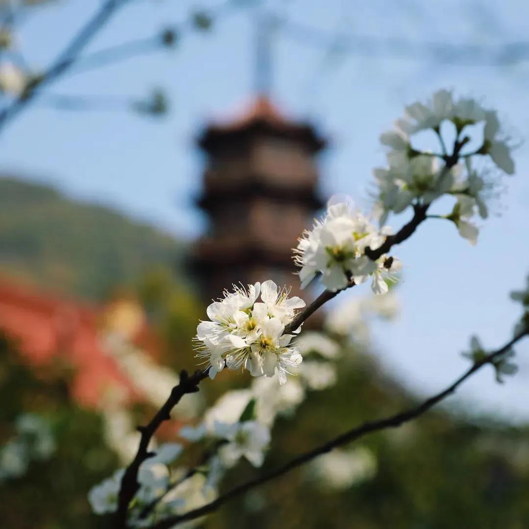 ������ص�����û���