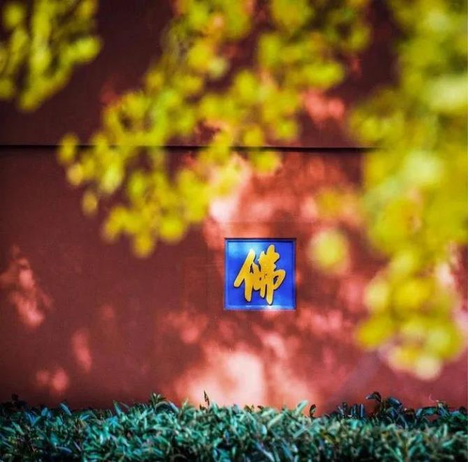 û��ʹ�࣬�����û����ô����