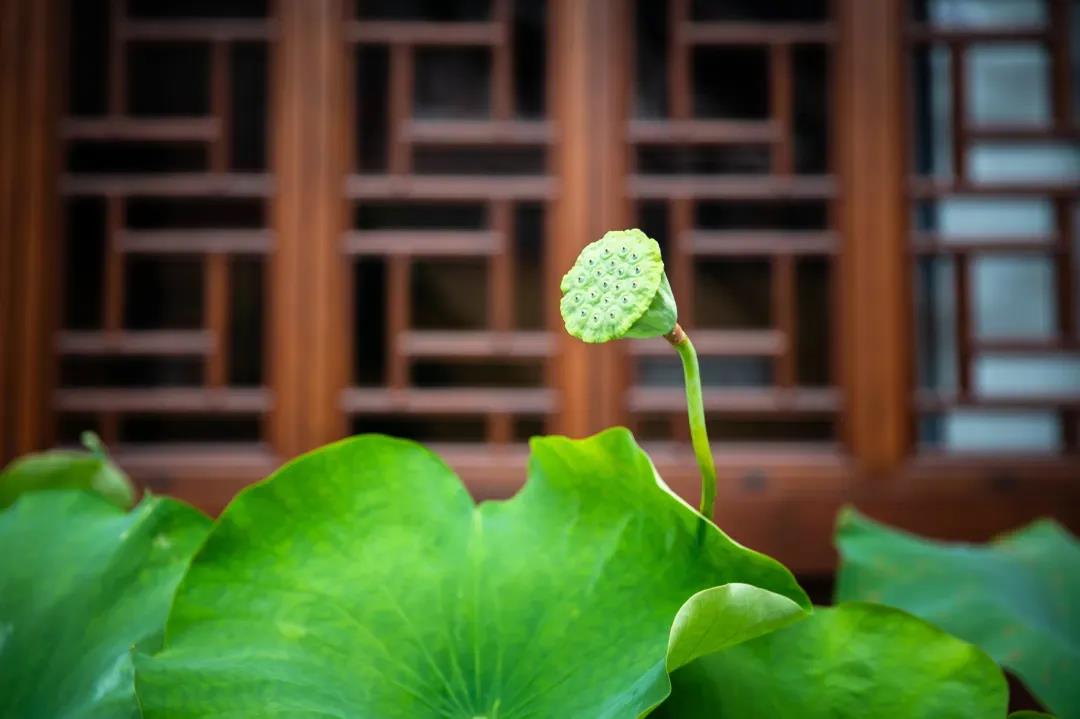 ����һ��Ҫ��ϸ΢֮������